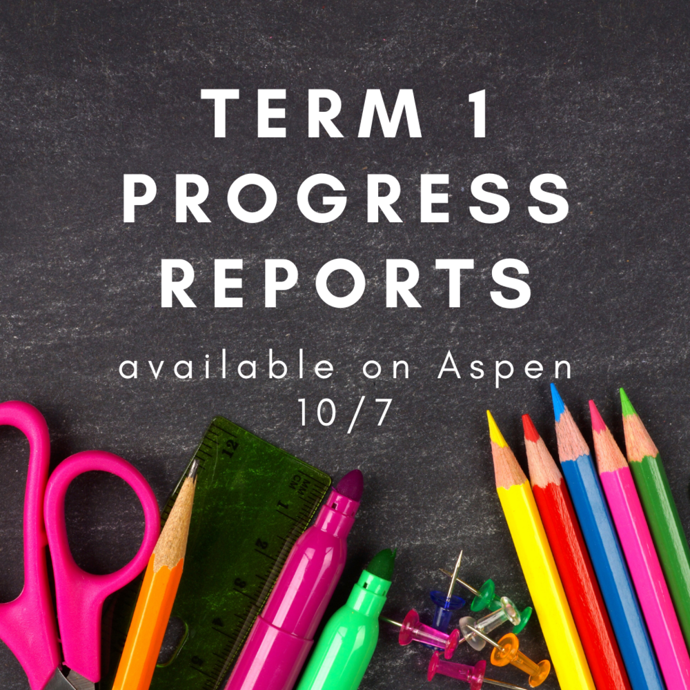 Elementary Progress Reports